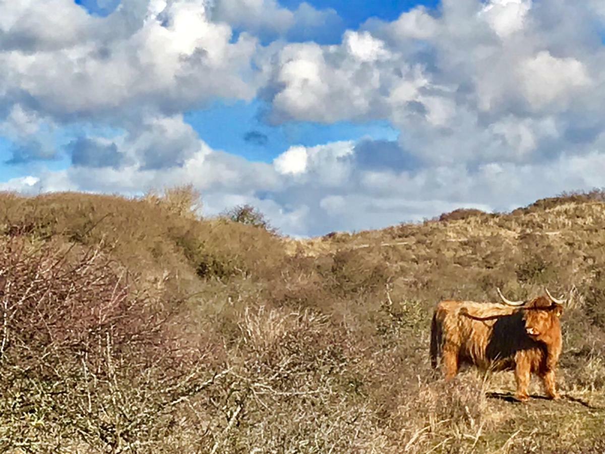 Achter De Duinen Apartamento Zandvoort Exterior foto